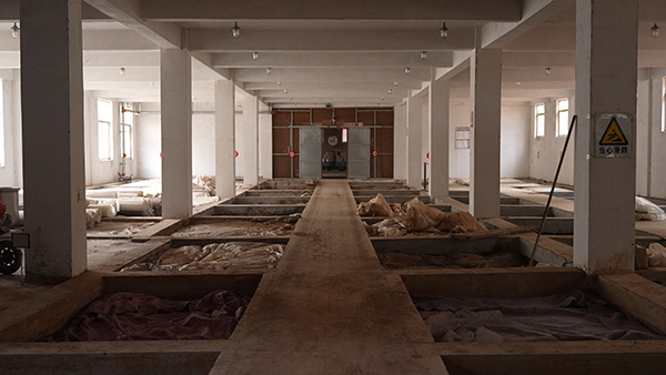 工厂展示LYW-049